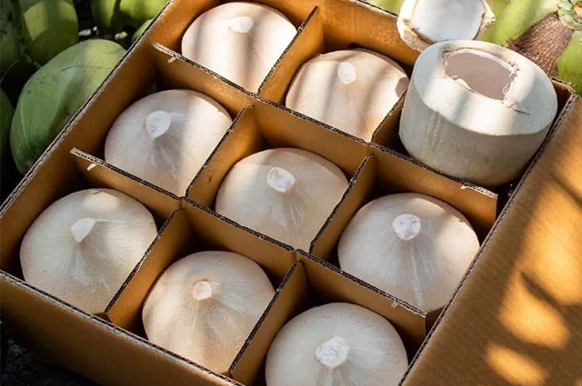 Young coconuts packed for shipment